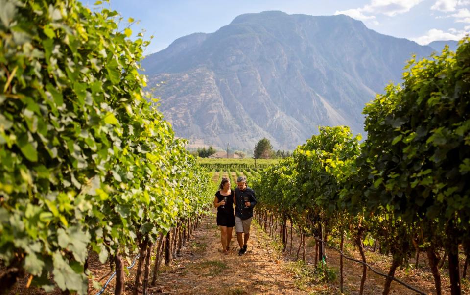 Couple walking through the vineyards at Corcelettes Estate Winery