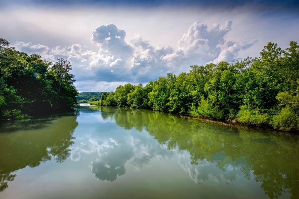 Summer creek and landscape with clouds reflecting in water