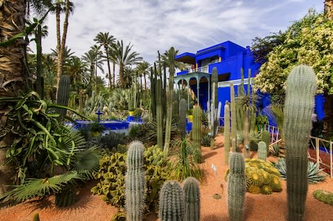 Jardin Majorelle - Credit: AP