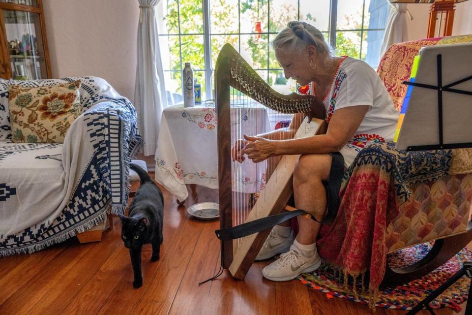 Theresa Cronley, 71, plays the harp for her cat Kitty in her home in Sacramento on Thursday, Aug. 24. Kitty who was named Pinot by family members escaped while Conley was bringing him to the vet and with persistence she was able to get him back six months later.