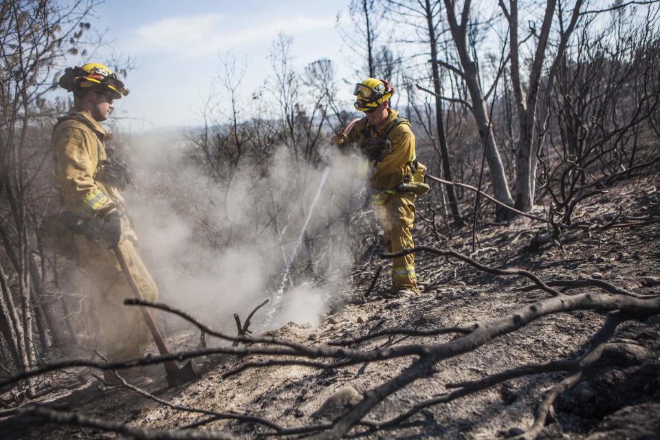 Northern California wildfires