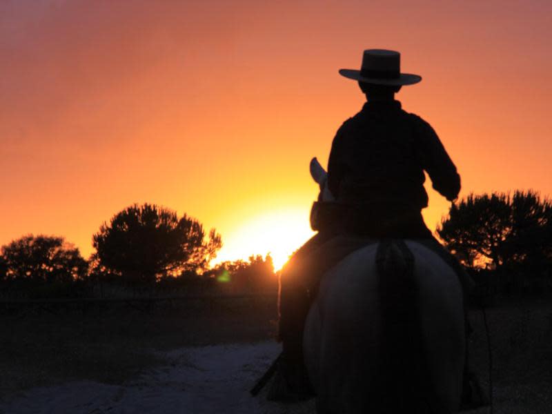Reiter im Abendlicht: Auf der Wallfahrt nach El Rocío könnte Andalusien nicht romantischer sein. Foto: Manuel Meyer