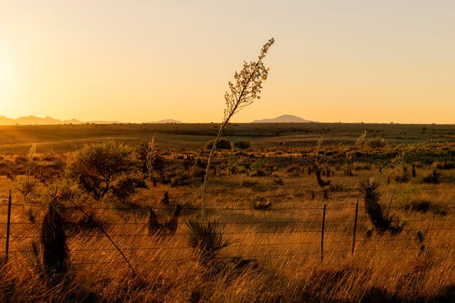 <p>Cassidy Araiza</p> Golden hour in Arizona's Sonoita-Elgin wine region.