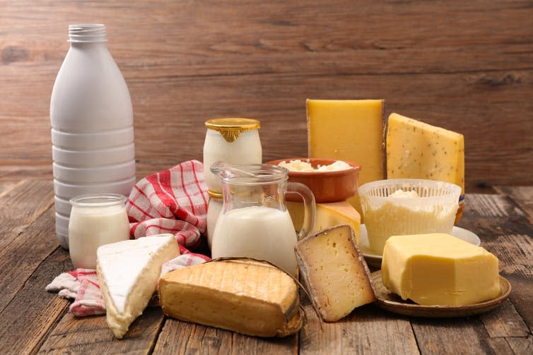 <span class="caption">Humans began fermenting milk to create cheeses and yogurts around 6,000 years ago.</span> <span class="attribution"><a class="link " href="https://www.shutterstock.com/image-photo/assorted-dairy-product-1161597100?src=f146c918-59b0-4df3-a58e-2cf3193d20d8-1-5" rel="nofollow noopener" target="_blank" data-ylk="slk:Margouillat photo/Shutterstock;elm:context_link;itc:0;sec:content-canvas">Margouillat photo/Shutterstock</a></span>