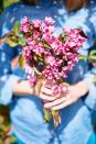<p>Make use of the pretty flowers you've grown in your yard all spring, or set out to a nearby flower farm to cut some fresh blooms. Once you're home, arrange them in a <a href="https://www.countryliving.com/diy-crafts/g4461/mason-jar-flower-arrangements/" rel="nofollow noopener" target="_blank" data-ylk="slk:pretty Mason jar;elm:context_link;itc:0;sec:content-canvas" class="link ">pretty Mason jar</a> or a <a href="https://www.countryliving.com/entertaining/g207/floral-displays-0606/" rel="nofollow noopener" target="_blank" data-ylk="slk:DIY flower arrangement;elm:context_link;itc:0;sec:content-canvas" class="link ">DIY flower arrangement</a>.</p>