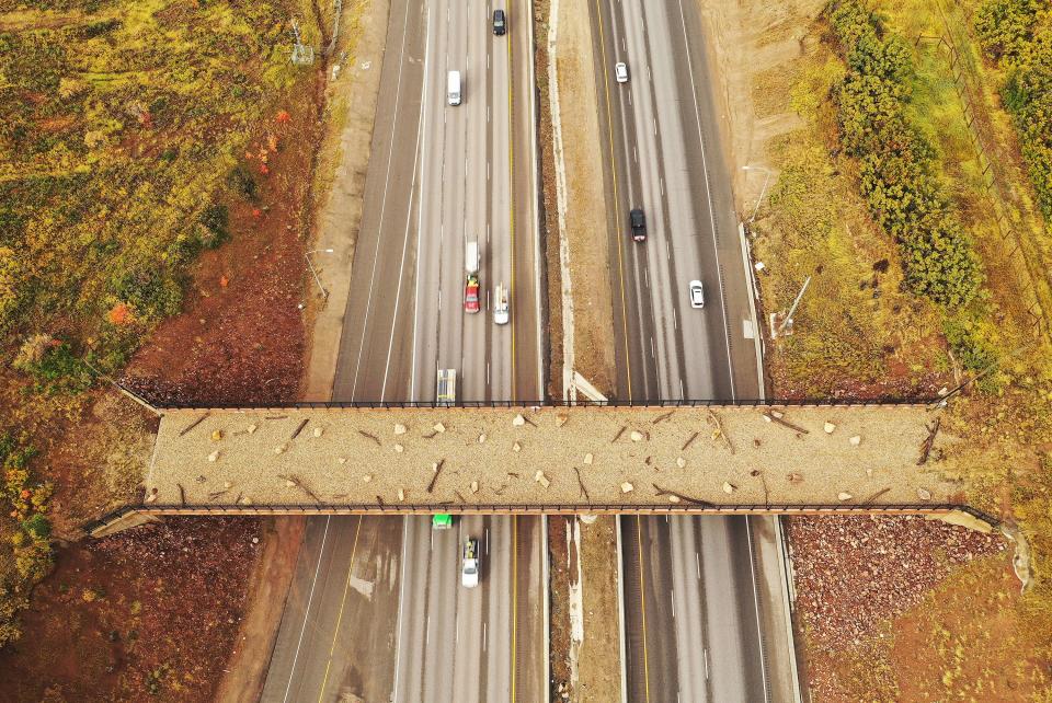 Motorists travel under a wildlife crossing bridge spanning I-80 in Parleys Canyon on Tuesday, Oct. 3, 2023.A recent report examining vehicle collisions with wildlife in 11 states says damages total $1.6 billion a year. | Jeffrey D. Allred, Deseret News