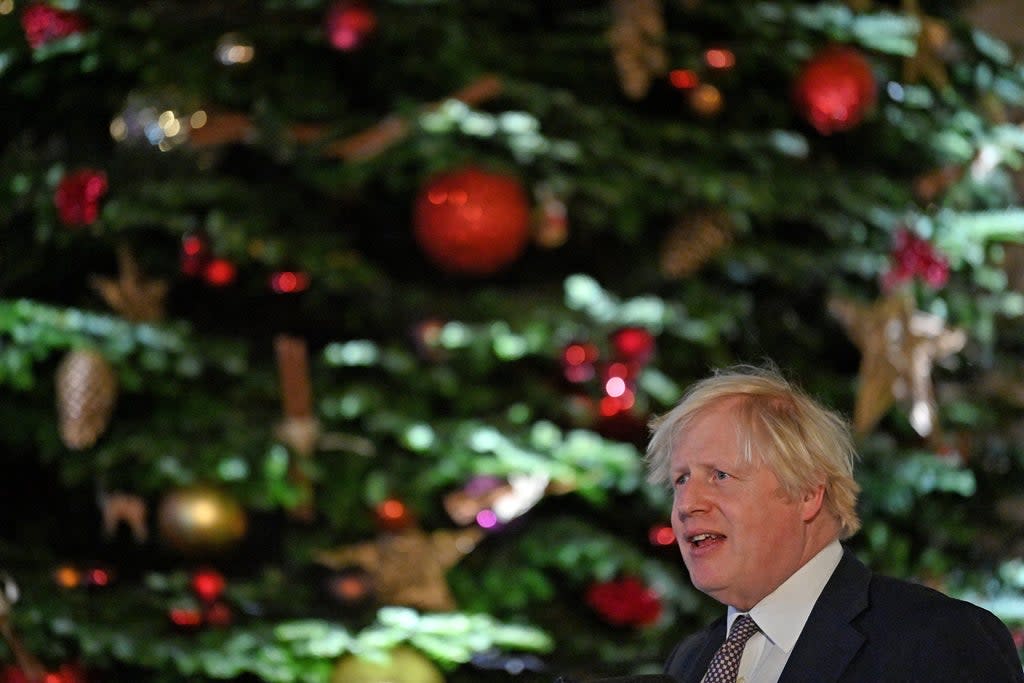 Boris Johnson in front of the Downing Street Christmas tree in 2020  (Justin Tallis/PA)