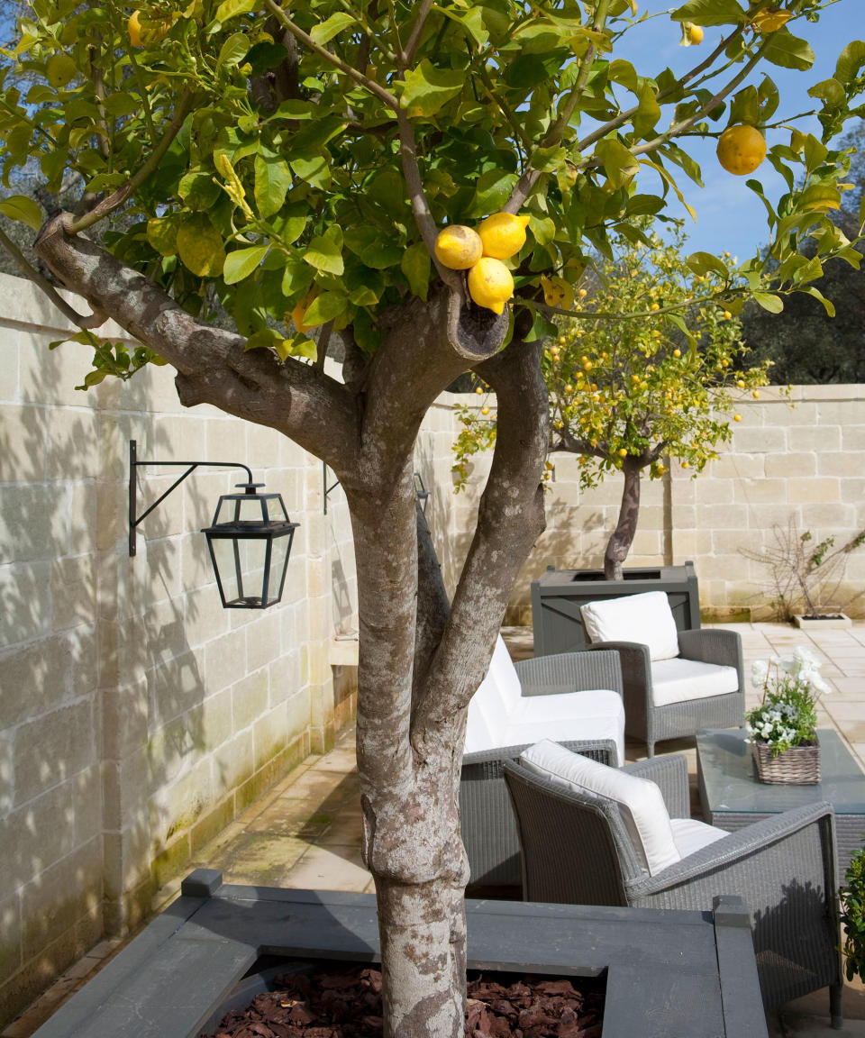 Make the most of a small courtyard