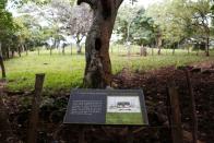 A sign marks the place where the Marquez family home used to be and where they were killed by Salvadorean soldiers in the village of El Mozote