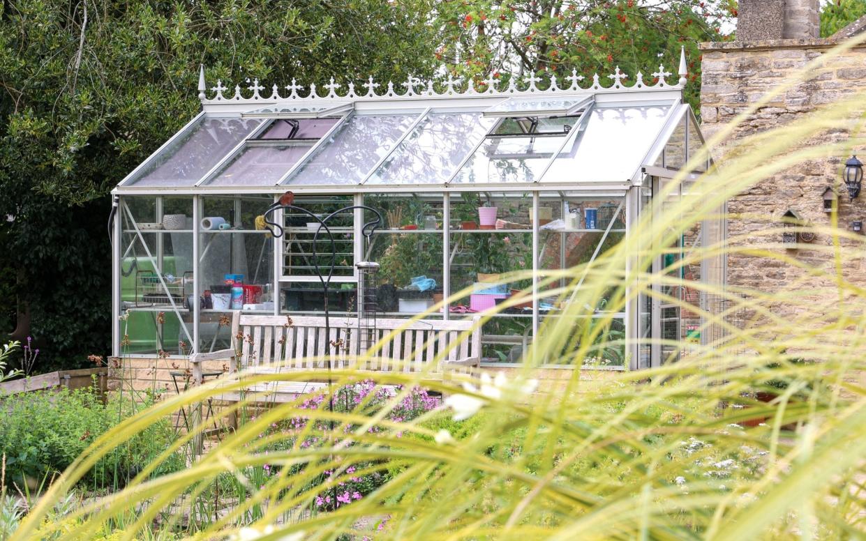 Pam Ayres greenhouse