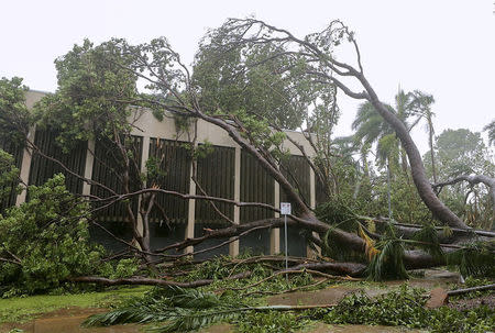 A tree that was uprooted due to winds from Tropical Cyclone Marcus lies on a building in the Northen Territory capital city of Darwin in Australia, March 17, 2018. AAP/Glenn Campbell/via REUTERS