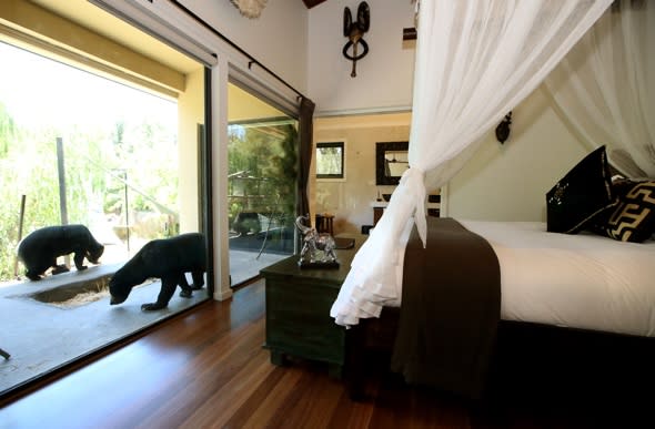 Lunch with lions and bedrooms with bears: Introducing the new zoo hotel
