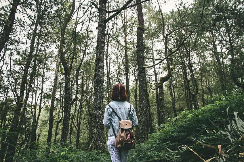 A woman looks at the forest in awe, using surrender