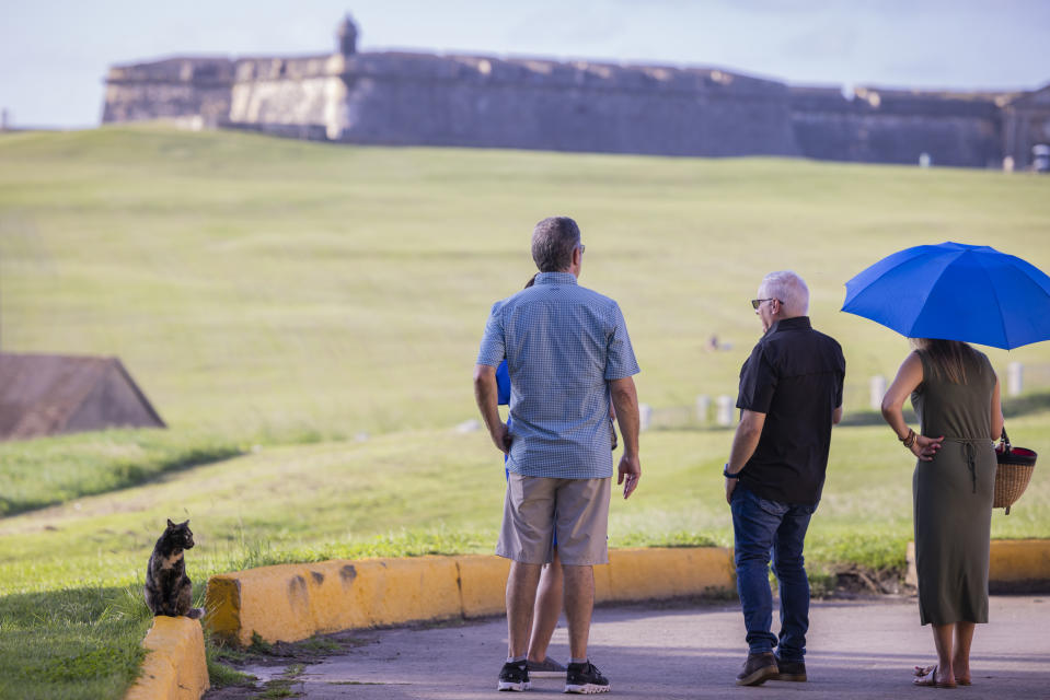 A stray cat sits next to tourists in Old San Juan, Puerto Rico, Wednesday, Nov. 2, 2022. Cats roam the seaside paths surrounding a historic fort known as "El Morro" that guarded San Juan Bay in the colonial era. (AP Photo/Alejandro Granadillo)