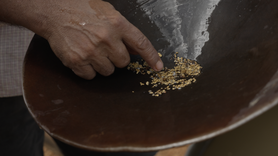 Gold in a pan at the Red Hole mine