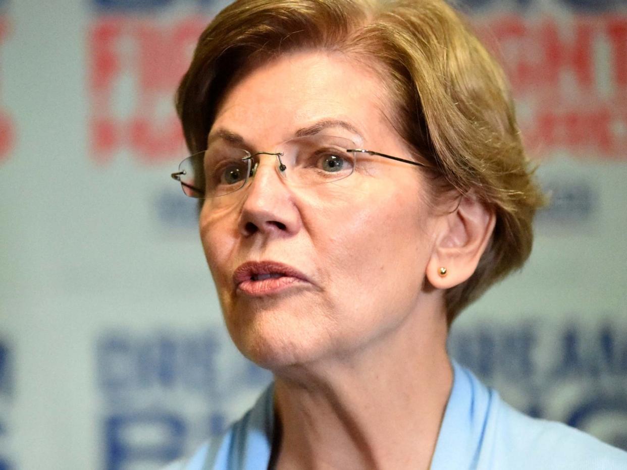 Ms Warren taught law at degree level for many years before entering the senate in 2013: AP