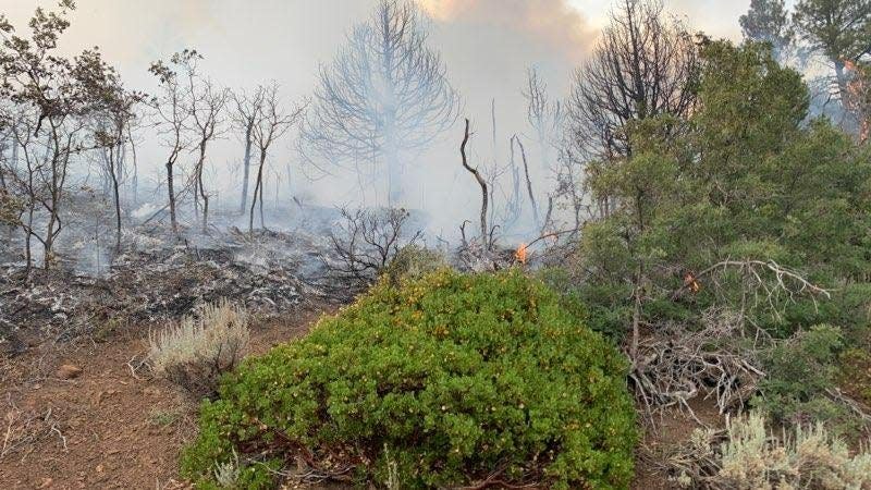 A wildfire forced road closures near the Kolob area of Zion National Park on Wednesday.