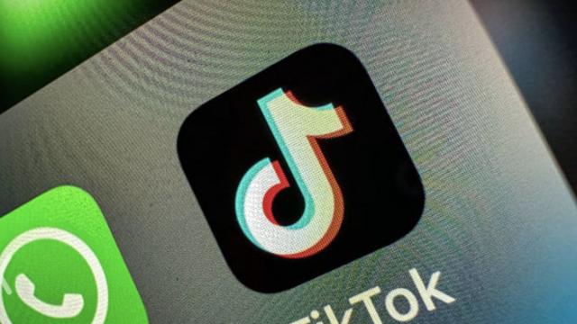 TikTok is testing Google results in its search pages - The Verge