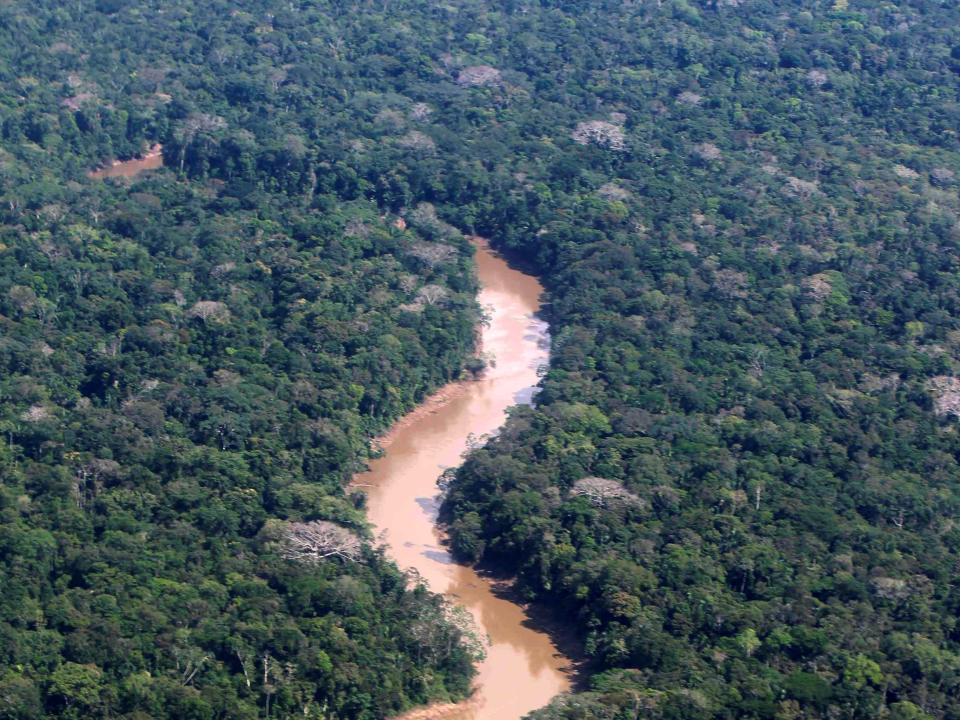 ecaudor oil rainforest