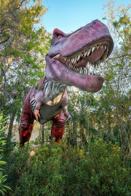 Tyrannosaurus, an animal that could likely have eaten a person in one bite, will be at this year's South Florida Fair.