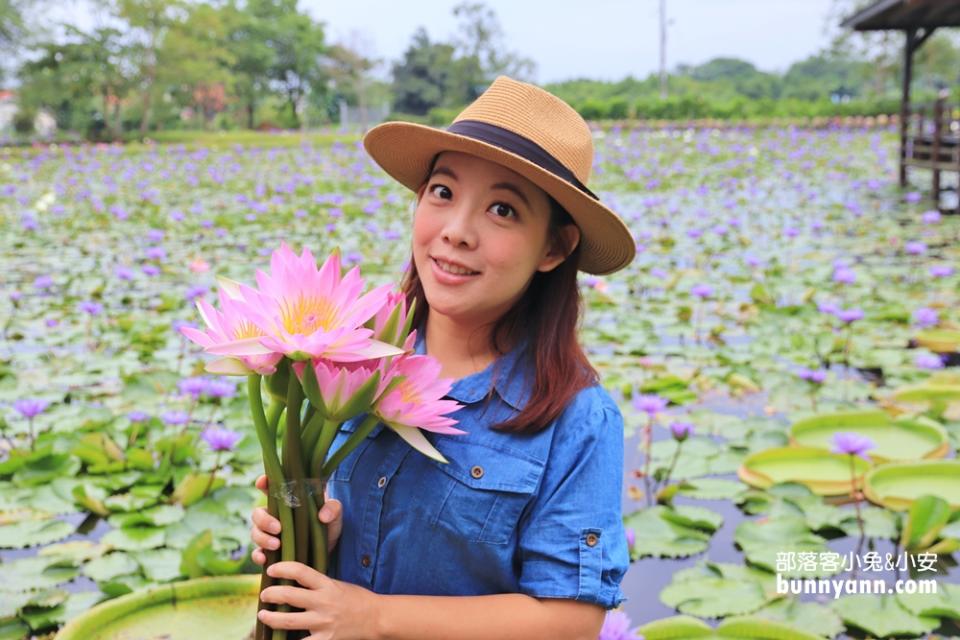 花蓮「蓮城蓮花園」