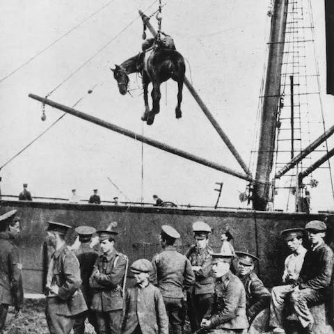 A horse is landed from a British military transport ship at Boulogne, France, during World War I - Credit: Hulton Archive /Getty