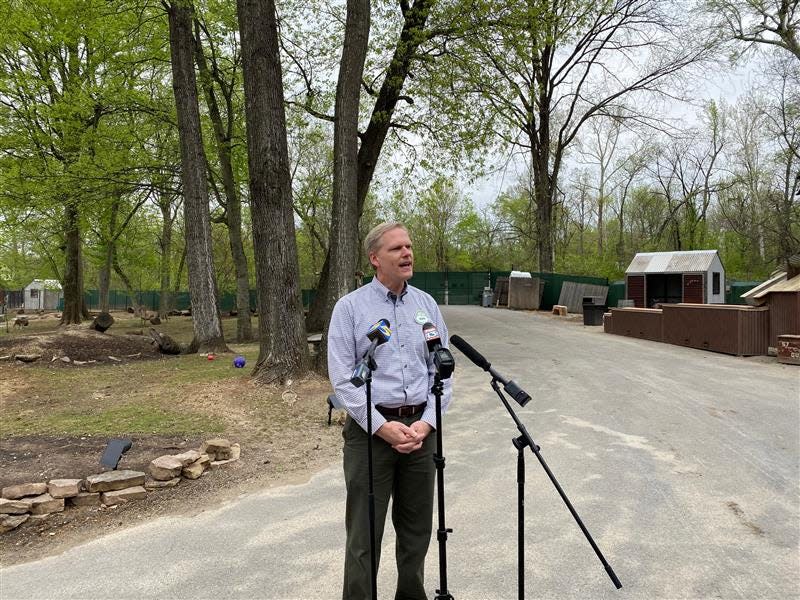 Matt Thompson, the Deputy Director at the Memphis zoo, gives a press conference on the recently found wallaby.