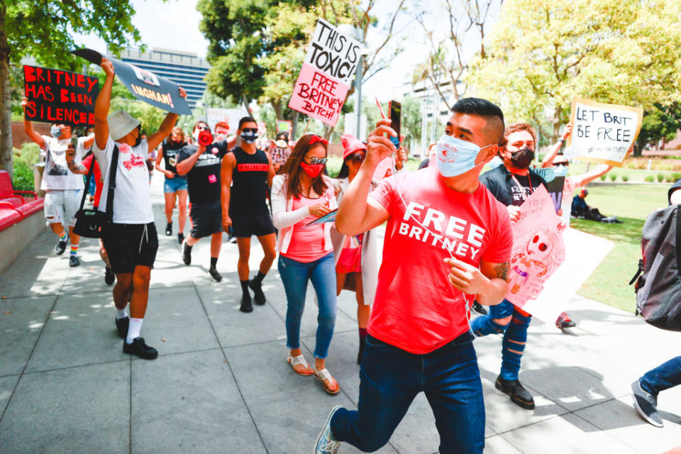 Fans protesting for Britney Spears.