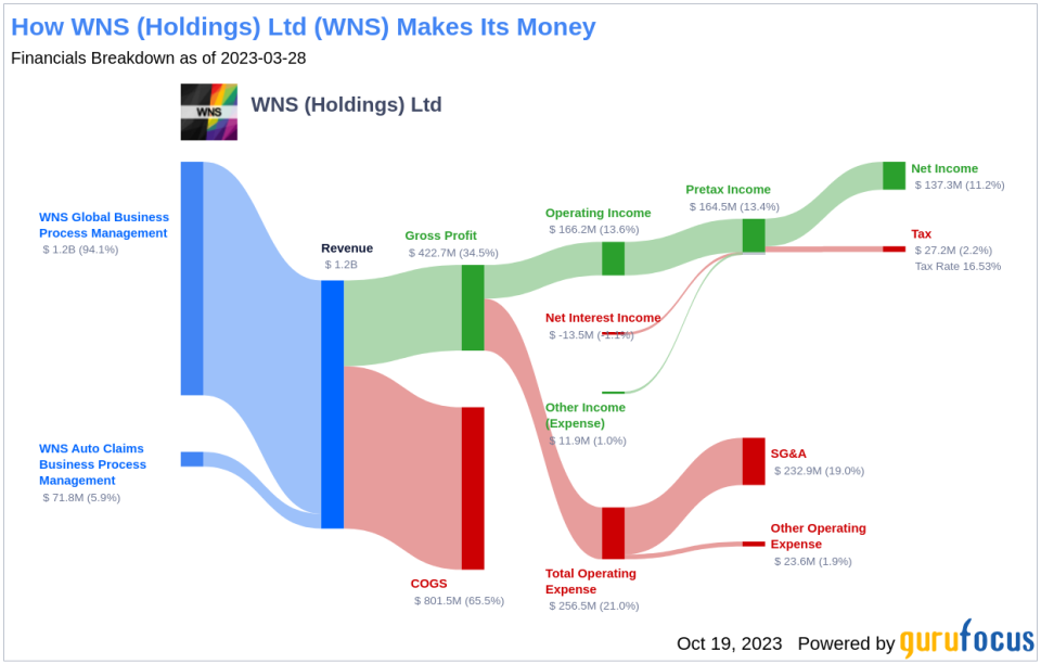 WNS (Holdings) Ltd (WNS): A Hidden Gem in the Software Industry