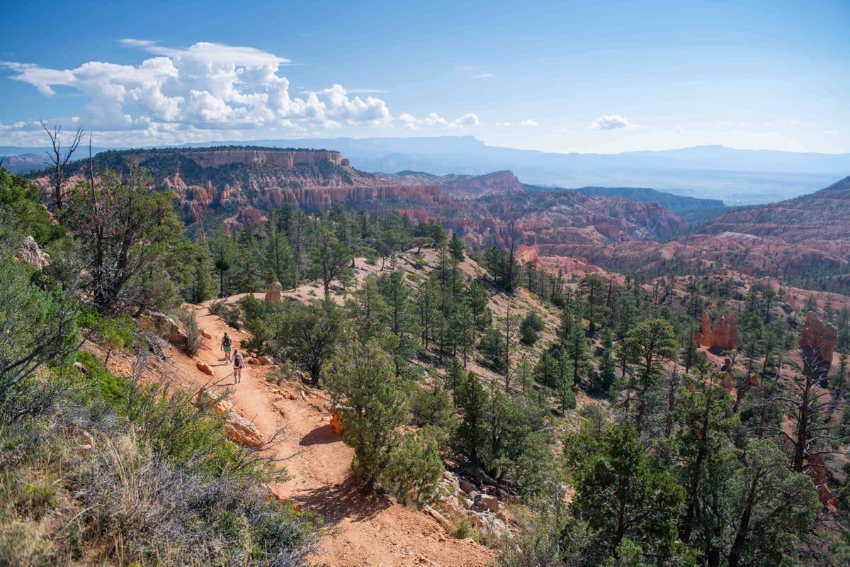 An Arizona hiker was found dead on a trail in Utah’s Bryce Canyon National Park after a thunderstorm caused flash flooding (NPS)