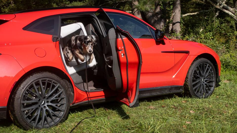 The inflatable Enventur Travel Kennel is great for cars with precious interior materials. We've been using it as our default test kennel for months now and it shows no signs of popping or tearing. It starts at $425.00<u> at Diggs.pet</u>.