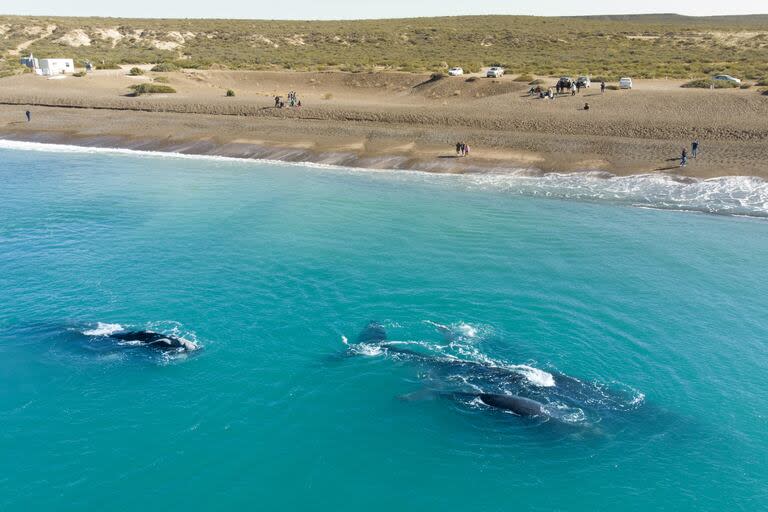 Playa El Doradillo, ubicada sobre el golfo Nuevo y a 15 kilómetros al norte de Puerto Madryn, en la provincia de Chubut
