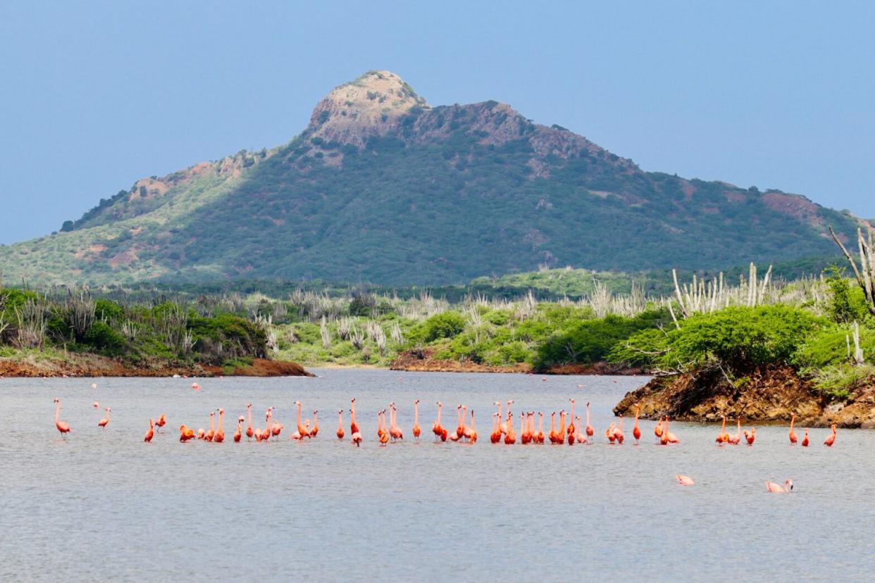 river with mountains in the background in Bonaire