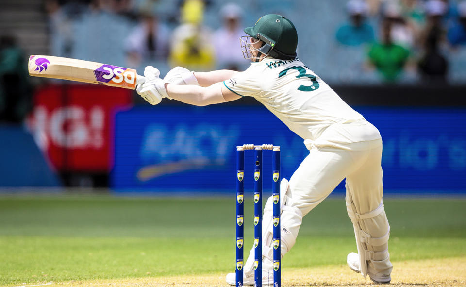 David Warner, pictured here in action against Pakistan in the Boxing Day Test.