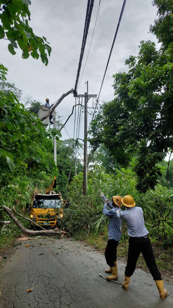 台電人員通力移除倒碰線路樹枝。（台電提供）