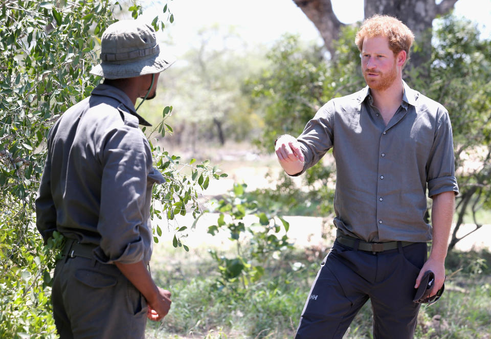 Prince Harry in Africa in 2015