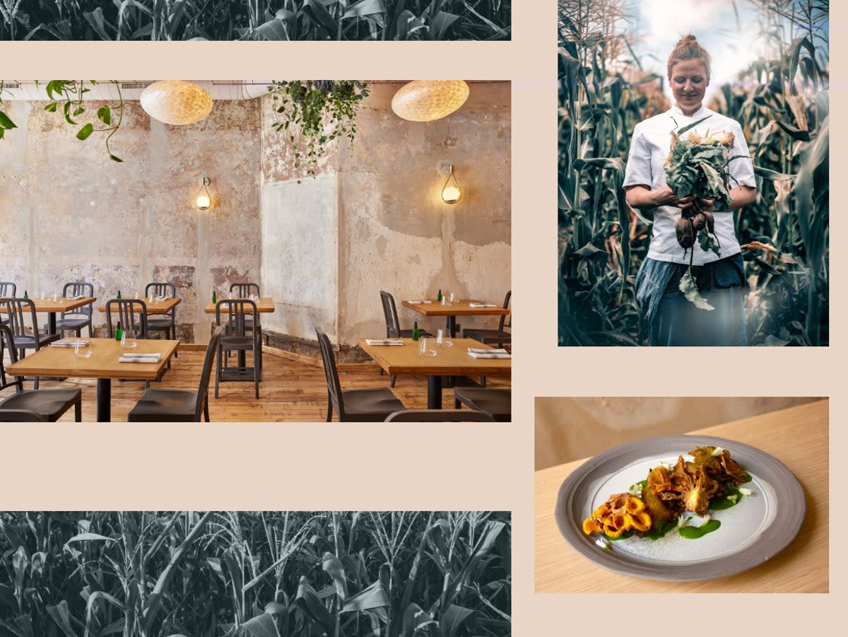 Nicholson’s new restaurant, Apricity, opened  in April and champions low waste  (Lisa Tse/Stefan Jansen Birch/iStock)