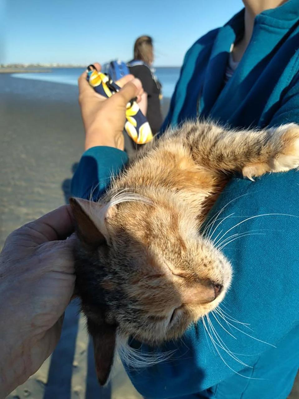 cat backpack