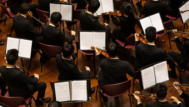 Musicians are pictured performing in an orchestra. During a classical musical festival held in Copenhagen, Denmark, the Danish Chamber Orchestra performed the “Hunting Symphony” by Leopold Mozart with live dogs.