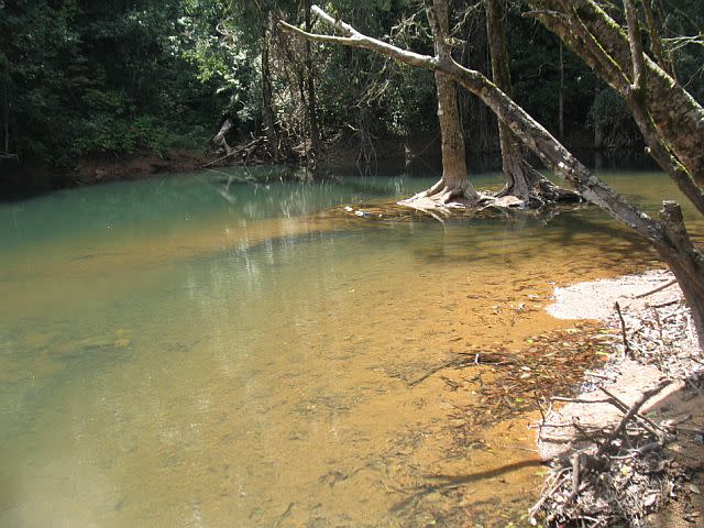 A river inside Kudremukh National Park