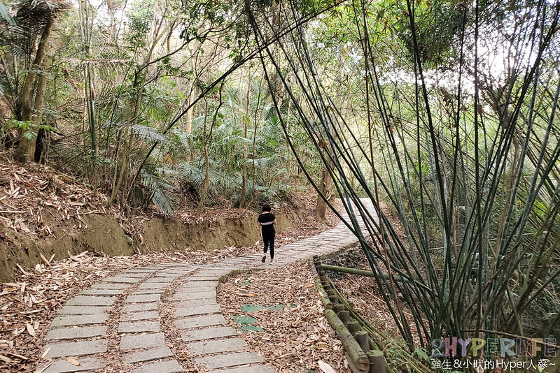 台中大坑六號七號登山步道