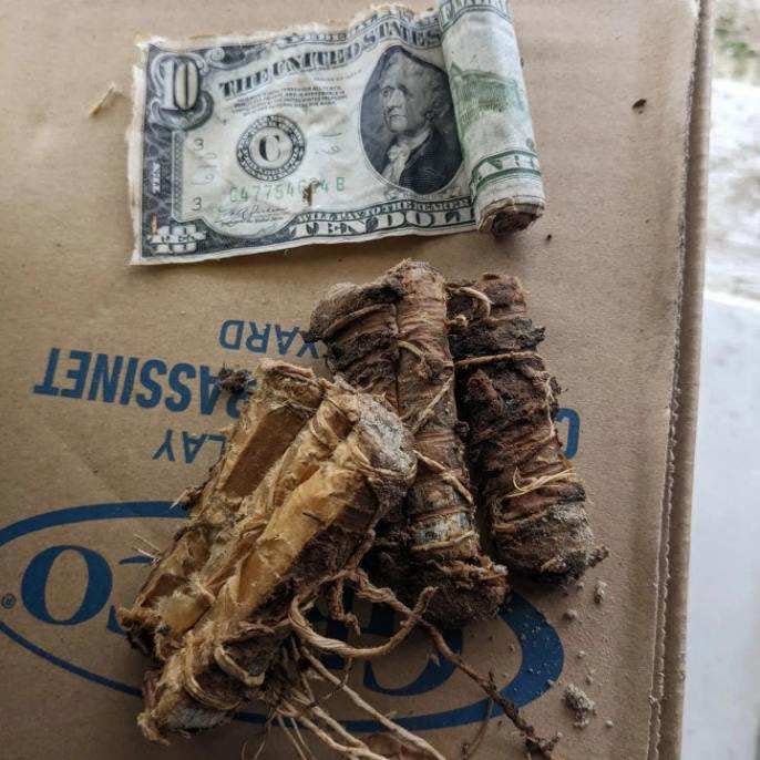 A New Jersey man discovered money dated to 1934 outside his house.