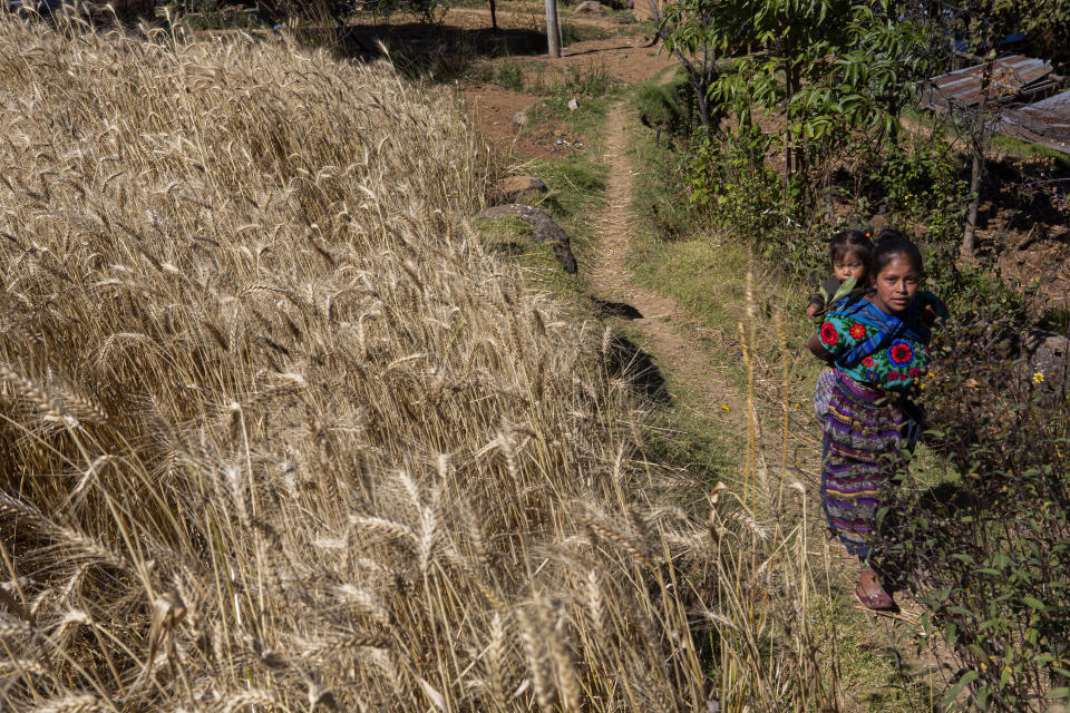 Adriana Mejia, a cousin of Guatemalan migrant Santa Cristina Garcia Perez, carries her daughter down a narrow path to her family's house in Comitancillo, Guatemala, Wednesday, Jan. 27, 2021. Relatives say they believe the charred corpses found in a northern Mexico border state on Saturday could be those of their loved ones. The country's Foreign Ministry said it was collecting DNA samples from a dozen relatives to see if there was a match with any of the bodies. (AP Photo/Oliver de Ros)