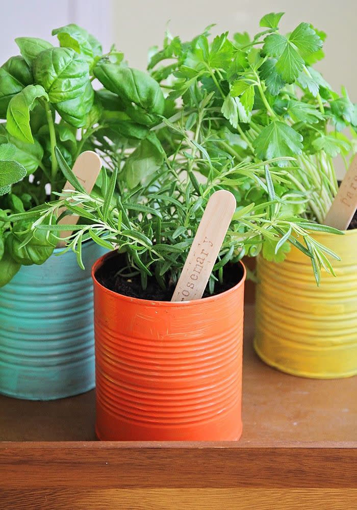 herb garden ideas painted tins