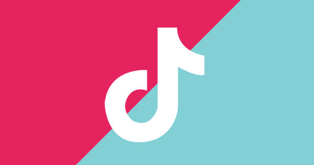 TikTunes Puts Tik Tok Influencers on the Map and Guides Their
