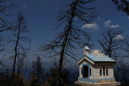 A roadside shrine is seen in front of burned trees, following a wildfire at the village of Kalamos, north of Athens, Greece August 16, 2017. REUTERS/Alkis Konstantinidis