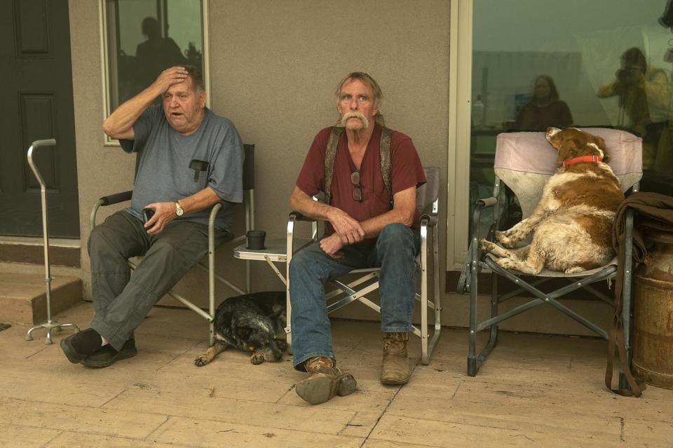 Greenville residents Gould Fickardt, 71, left, and Woody Hovland, 70, sit with their dogs, Primer, right, and Sheva, left,