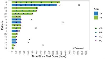 Figure 1: Time to Response and Duration of Response to Treatment