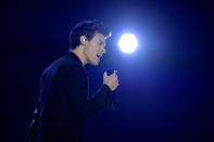 <p>Harry Styles<br>Crédits : Getty </p>