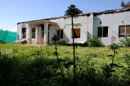 Weeds grow outside the ruins of the Medecins Sans Frontieres hospital in Kunduz, Afghanistan. REUTERS/Josh Smith